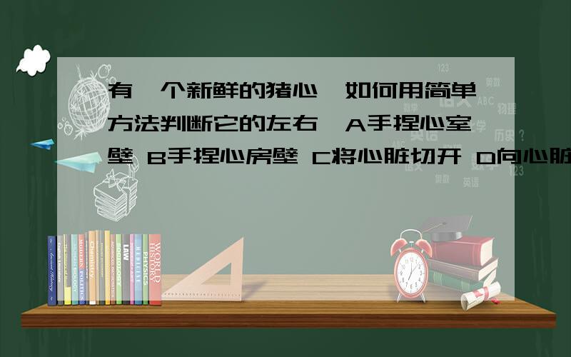 有一个新鲜的猪心,如何用简单方法判断它的左右,A手捏心室壁 B手捏心房壁 C将心脏切开 D向心脏灌水选择一个正确答案,就快考试了,别乱说最好说明理由,