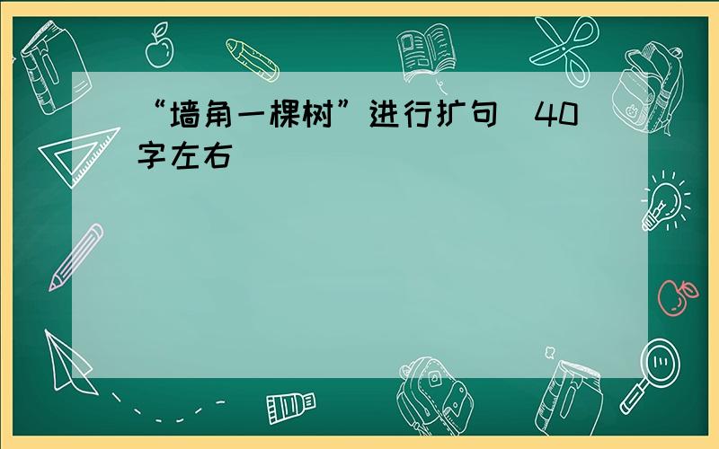 “墙角一棵树”进行扩句（40字左右)