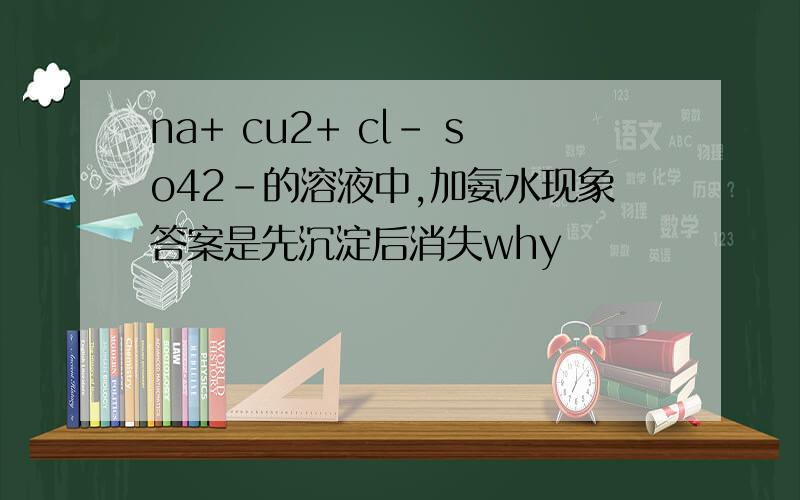 na+ cu2+ cl- so42-的溶液中,加氨水现象答案是先沉淀后消失why