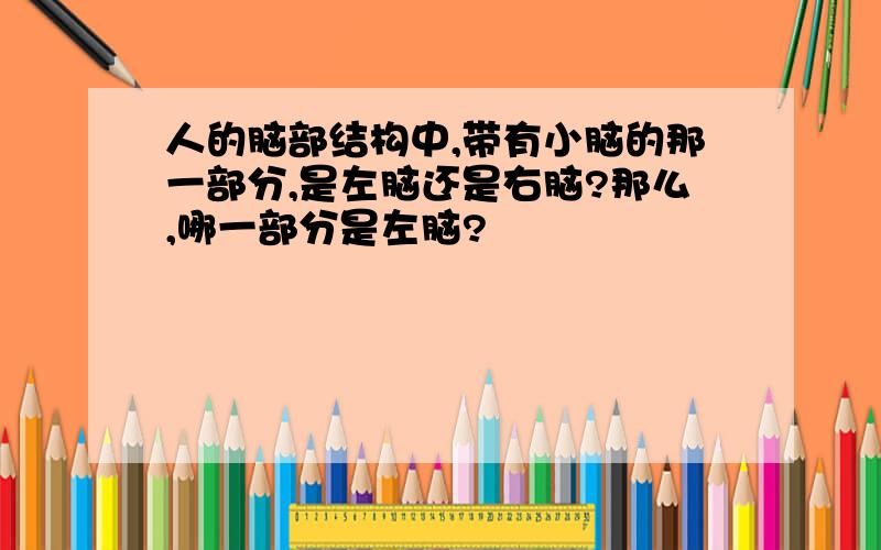 人的脑部结构中,带有小脑的那一部分,是左脑还是右脑?那么,哪一部分是左脑?