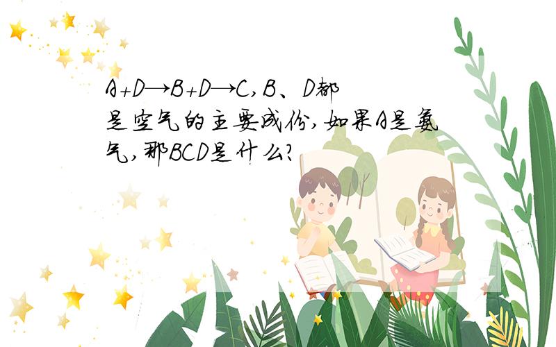 A+D→B+D→C,B、D都是空气的主要成份,如果A是氨气,那BCD是什么?