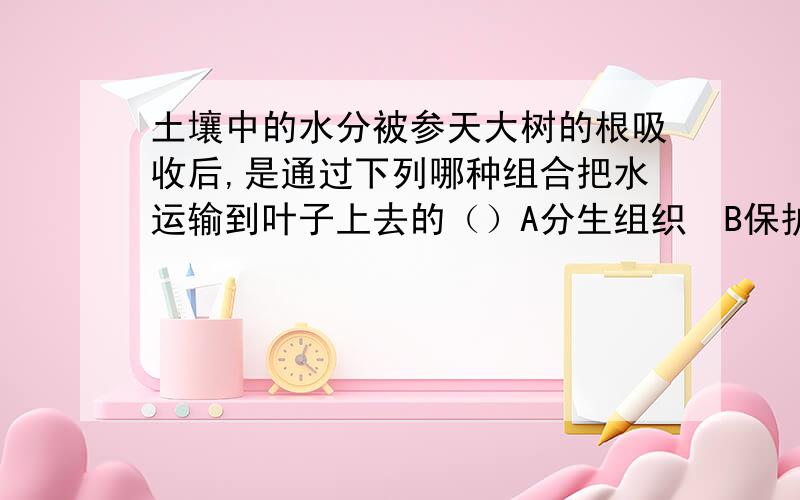 土壤中的水分被参天大树的根吸收后,是通过下列哪种组合把水运输到叶子上去的（）A分生组织　B保护组织　C营养组织　D输导组织下列能正确表示猫的结构层次的是（）A细胞→组织→器官