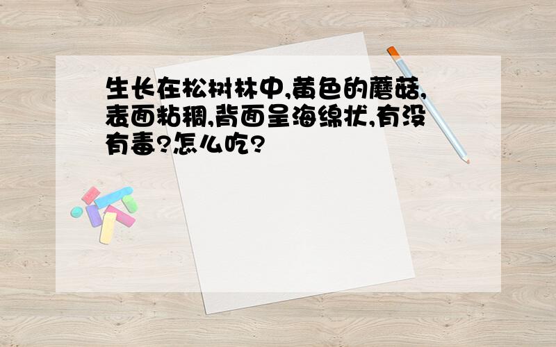 生长在松树林中,黄色的蘑菇,表面粘稠,背面呈海绵状,有没有毒?怎么吃?