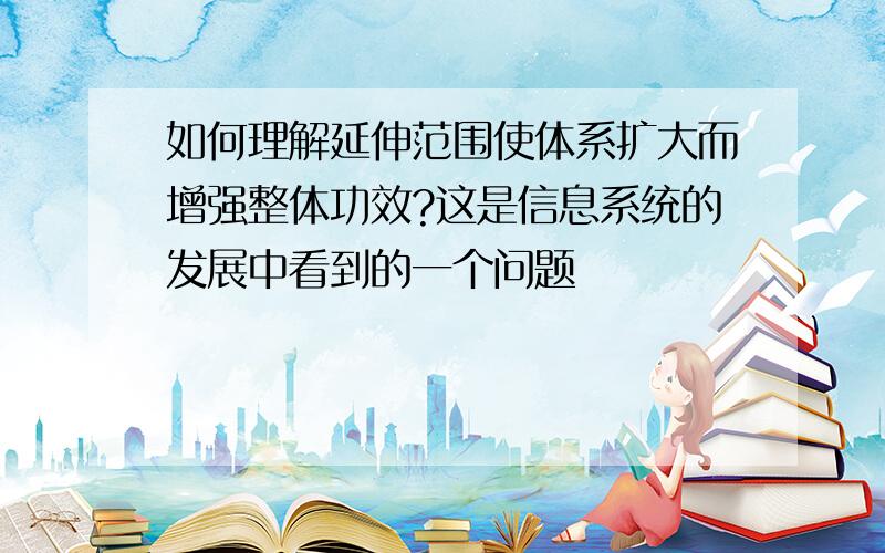 如何理解延伸范围使体系扩大而增强整体功效?这是信息系统的发展中看到的一个问题