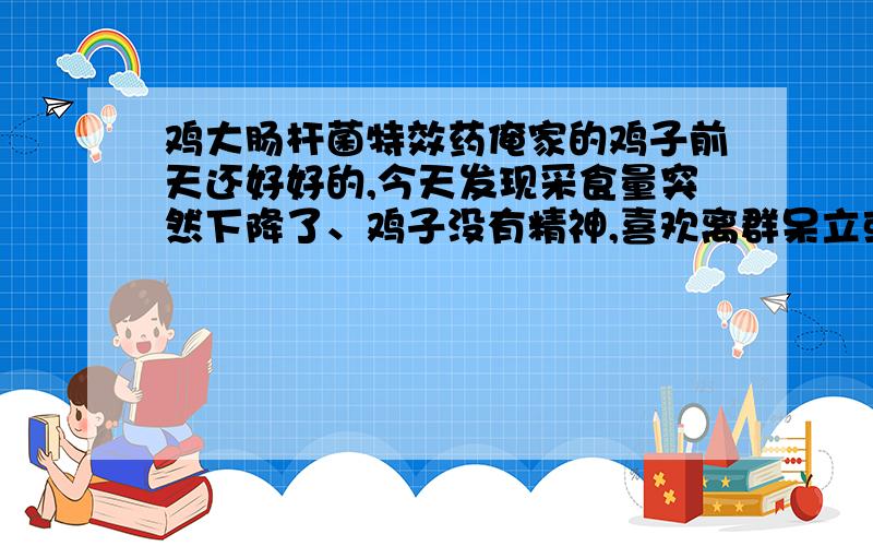 鸡大肠杆菌特效药俺家的鸡子前天还好好的,今天发现采食量突然下降了、鸡子没有精神,喜欢离群呆立或蹲伏不动、眼虹膜呈灰白色、羽毛松乱、肛门周围羽毛粘有粪便、绿色或黄白色稀粪