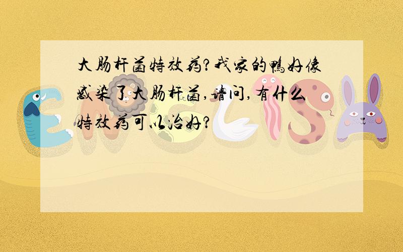 大肠杆菌特效药?我家的鸭好像感染了大肠杆菌,请问,有什么特效药可以治好?