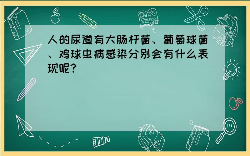 人的尿道有大肠杆菌、葡萄球菌、鸡球虫病感染分别会有什么表现呢?