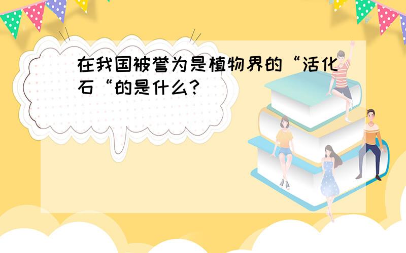 在我国被誉为是植物界的“活化石“的是什么?