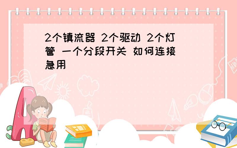 2个镇流器 2个驱动 2个灯管 一个分段开关 如何连接 急用