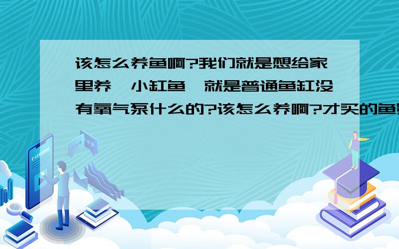 该怎么养鱼啊?我们就是想给家里养一小缸鱼,就是普通鱼缸没有氧气泵什么的?该怎么养啊?才买的鱼第一天死了两个,再过两天就有死了一条,每天都在换水,水也是自来水放置很久了,吃的也是