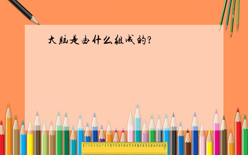 大脑是由什么组成的?