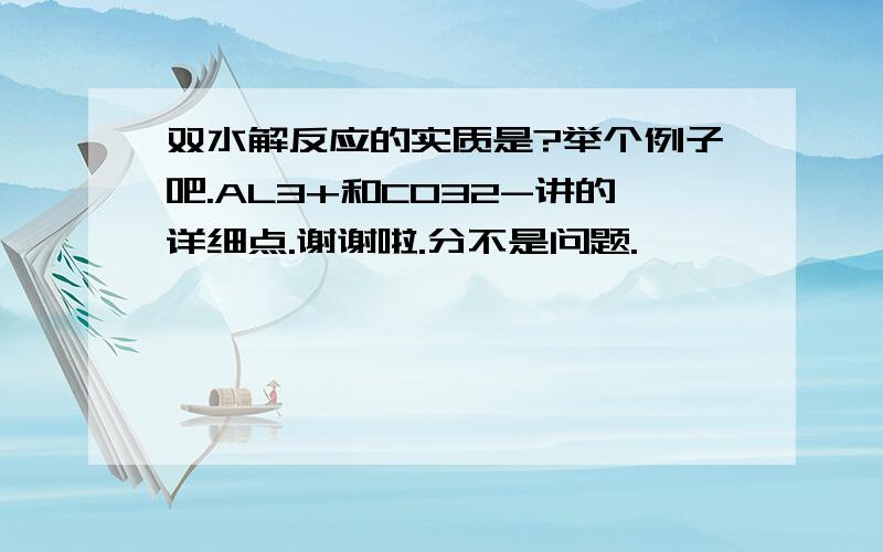 双水解反应的实质是?举个例子吧.AL3+和CO32-讲的详细点.谢谢啦.分不是问题.