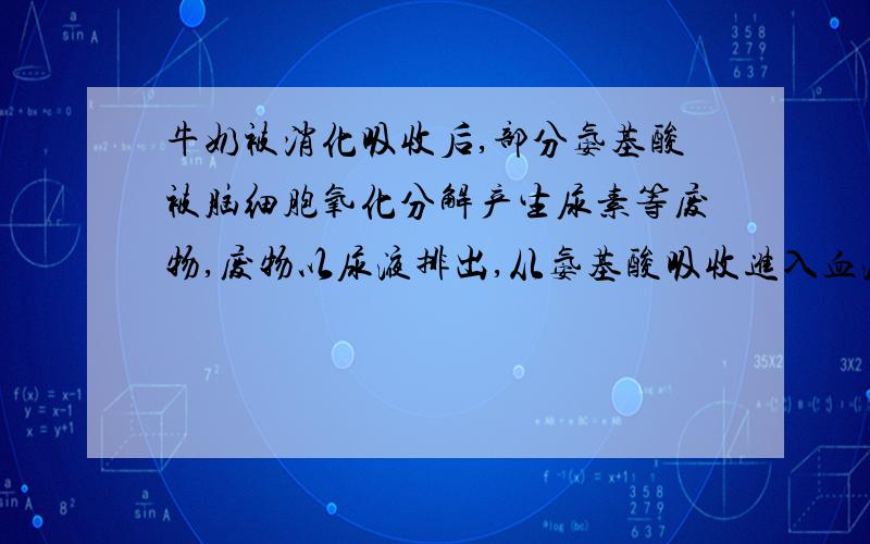 牛奶被消化吸收后,部分氨基酸被脑细胞氧化分解产生尿素等废物,废物以尿液排出,从氨基酸吸收进入血液到以尿液排出,共需经过心脏几次