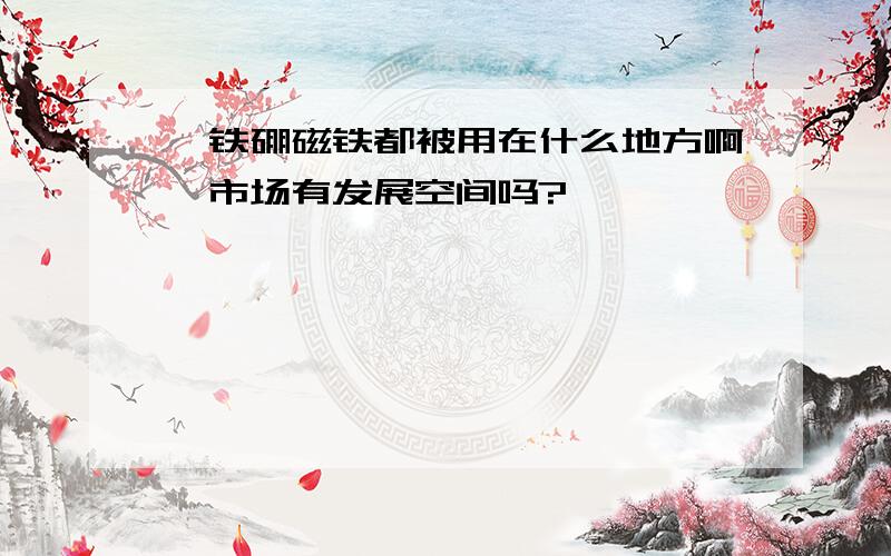 钕铁硼磁铁都被用在什么地方啊,市场有发展空间吗?