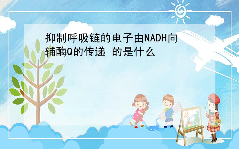 抑制呼吸链的电子由NADH向辅酶Q的传递 的是什么