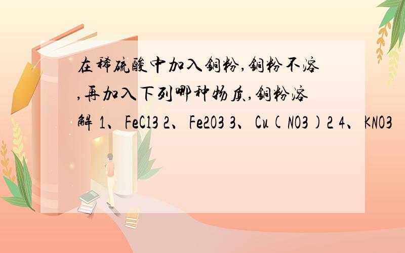 在稀硫酸中加入铜粉,铜粉不溶,再加入下列哪种物质,铜粉溶解 1、FeCl3 2、Fe2O3 3、Cu(NO3)2 4、KNO3