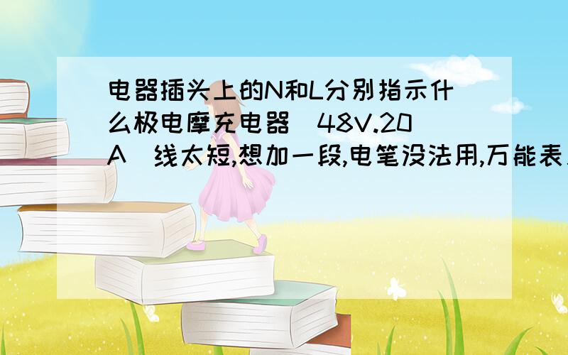 电器插头上的N和L分别指示什么极电摩充电器（48V.20A）线太短,想加一段,电笔没法用,万能表又没有,特请教!