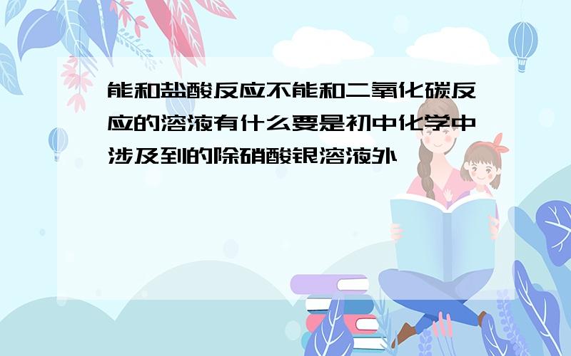 能和盐酸反应不能和二氧化碳反应的溶液有什么要是初中化学中涉及到的除硝酸银溶液外