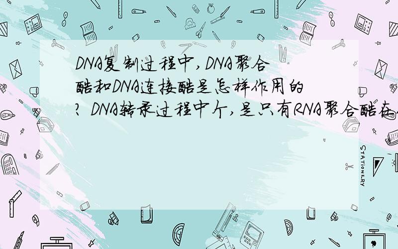 DNA复制过程中,DNA聚合酶和DNA连接酶是怎样作用的? DNA转录过程中个,是只有RNA聚合酶在作用吗?