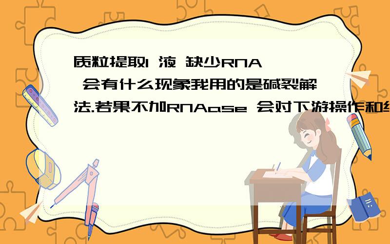 质粒提取I 液 缺少RNA酶 会有什么现象我用的是碱裂解法.若果不加RNAase 会对下游操作和结果产生怎样的影响?在哪一步会有异常现象出现?