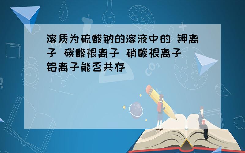 溶质为硫酸钠的溶液中的 钾离子 碳酸根离子 硝酸根离子 铝离子能否共存