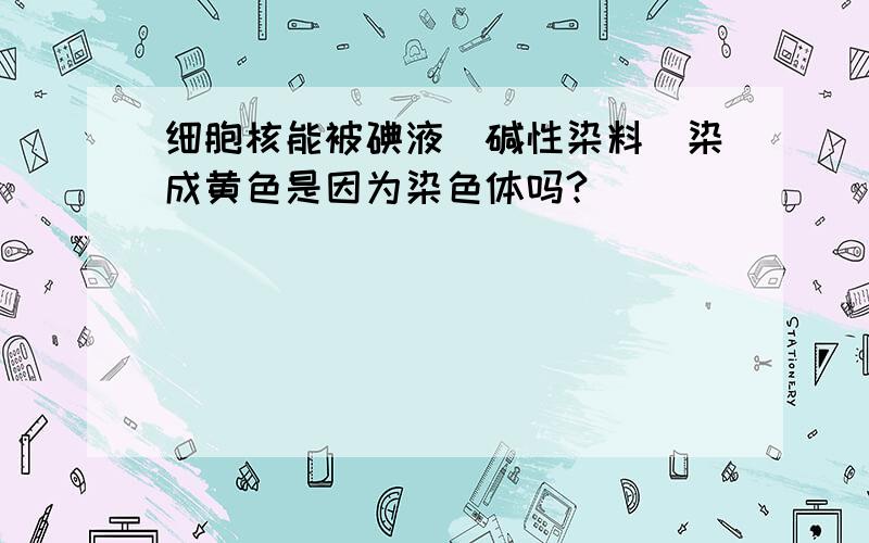 细胞核能被碘液（碱性染料）染成黄色是因为染色体吗?