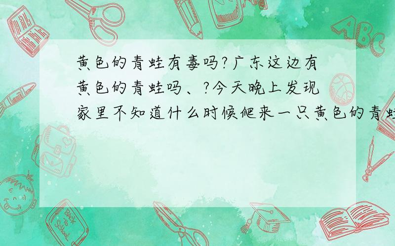 黄色的青蛙有毒吗?广东这边有黄色的青蛙吗、?今天晚上发现家里不知道什么时候爬来一只黄色的青蛙吓我不是蟾蜍 是黄色的 透亮··· 皮肤很光滑 而且跳的很高.