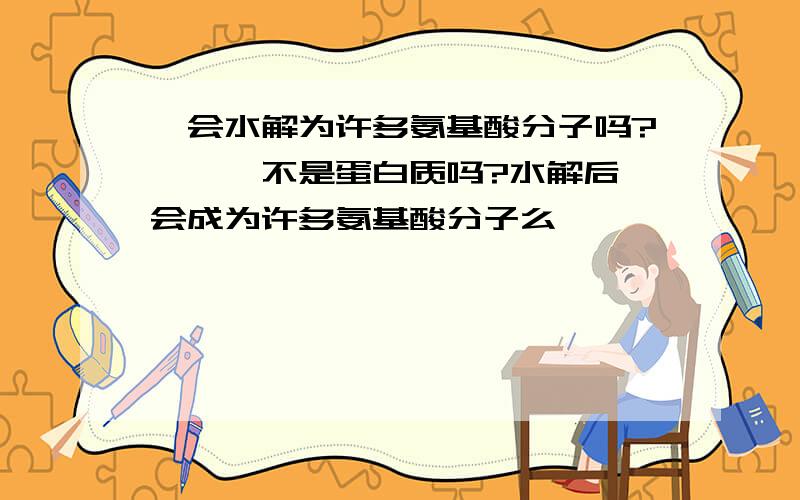 酶会水解为许多氨基酸分子吗?``酶不是蛋白质吗?水解后,会成为许多氨基酸分子么``