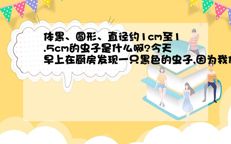 体黑、圆形、直径约1cm至1.5cm的虫子是什么啊?今天早上在厨房发现一只黑色的虫子,因为我们家的厨房就是阳台,早上的时候太阳光很充足.我一进厨房就看见它在洗碗池里爬,爬的很慢.身体是