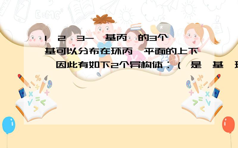 1,2,3-苯基丙烷的3个苯基可以分布在环丙烷平面的上下,因此有如下2个异构体：（ 是苯基,环用键线表示,C、H原子都未画出）据此,可判断1,2,3,4,5-五氯环戊烷（假定五个碳原子也处于同一平面上