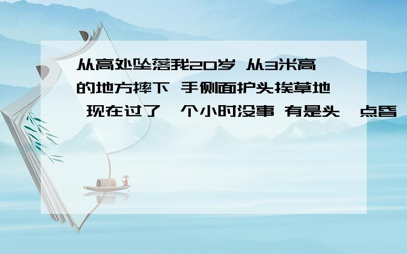 从高处坠落我20岁 从3米高的地方摔下 手侧面护头挨草地 现在过了一个小时没事 有是头一点昏 要紧么