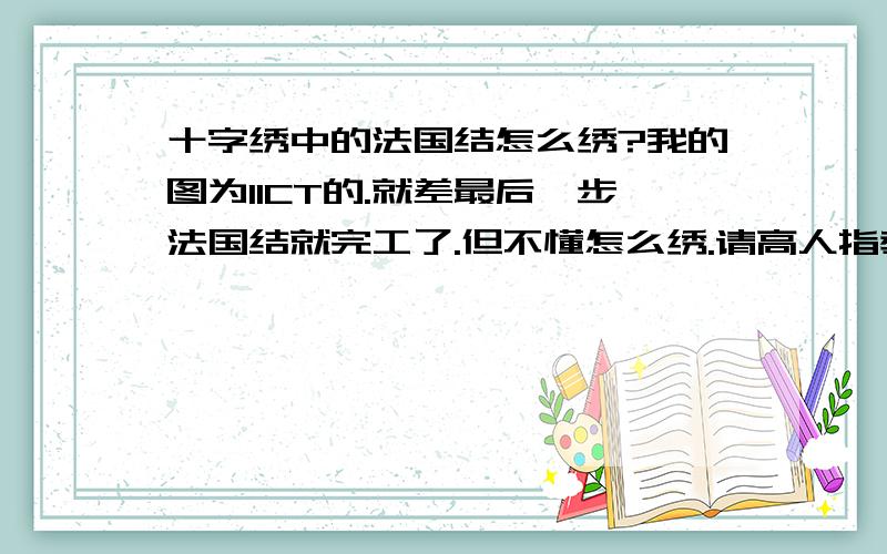 十字绣中的法国结怎么绣?我的图为11CT的.就差最后一步法国结就完工了.但不懂怎么绣.请高人指教.越详细越好.有图解更佳.还有11CT的图该用几股线?一个孔穿进穿出还是如何?