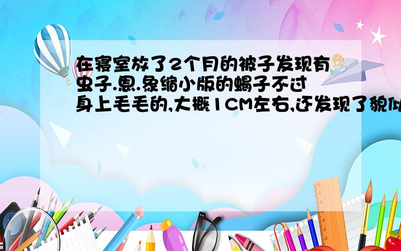 在寝室放了2个月的被子发现有虫子.恩.象缩小版的蝎子不过身上毛毛的,大概1CM左右,还发现了貌似是它脱下的外壳.它是什么虫.咬不咬人?它是爬行的.速度还不慢.因该不是蟑螂幼虫.身形象菱