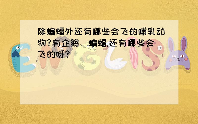 除蝙蝠外还有哪些会飞的哺乳动物?有企鹅、蝙蝠,还有哪些会飞的呀?