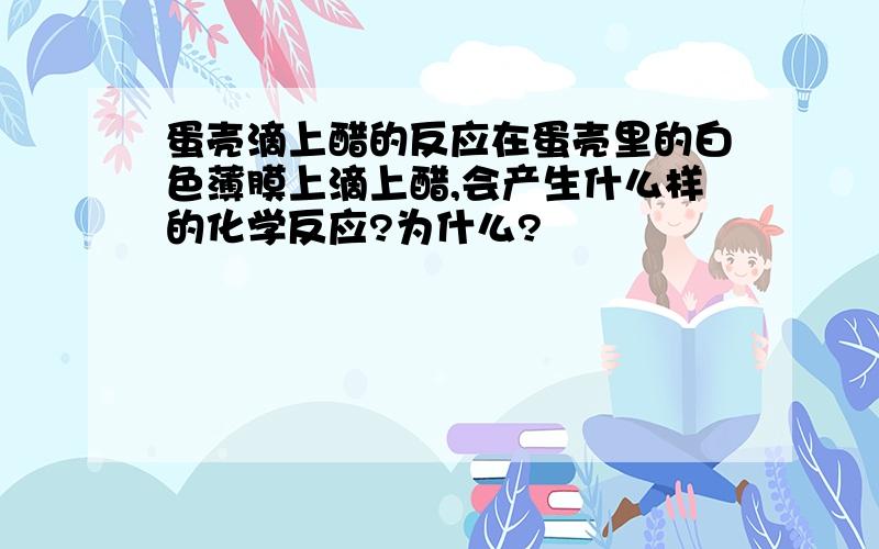 蛋壳滴上醋的反应在蛋壳里的白色薄膜上滴上醋,会产生什么样的化学反应?为什么?