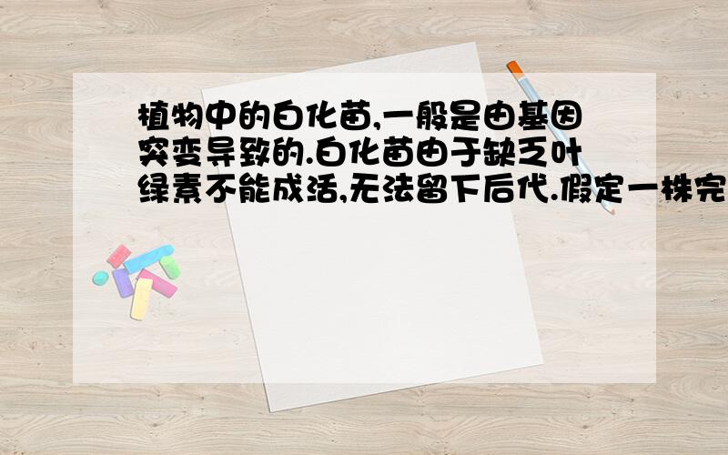 植物中的白化苗,一般是由基因突变导致的.白化苗由于缺乏叶绿素不能成活,无法留下后代.假定一株完全自表现型正常但携带白化基因,该植株自花授粉后,第一代结出100粒种子,全部种植后自花