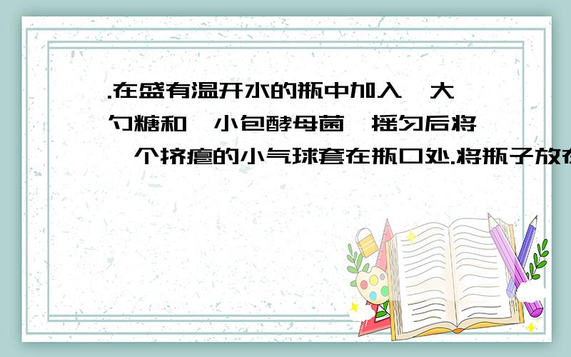 .在盛有温开水的瓶中加入一大勺糖和一小包酵母菌,摇匀后将一个挤瘪的小气球套在瓶口处.将瓶子放在25℃的.,A.酵母菌属于真菌B.酵母菌不能进行光合作用 C.酵母菌能把糖转化为酒精并产生