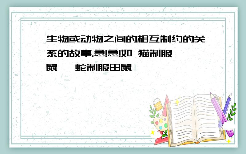 生物或动物之间的相互制约的关系的故事.急!急!如 猫制服鼠   蛇制服田鼠