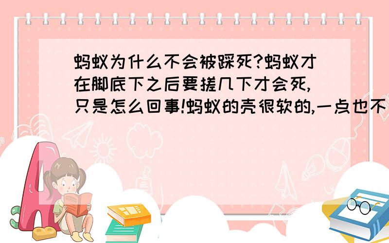 蚂蚁为什么不会被踩死?蚂蚁才在脚底下之后要搓几下才会死,只是怎么回事!蚂蚁的壳很软的,一点也不因