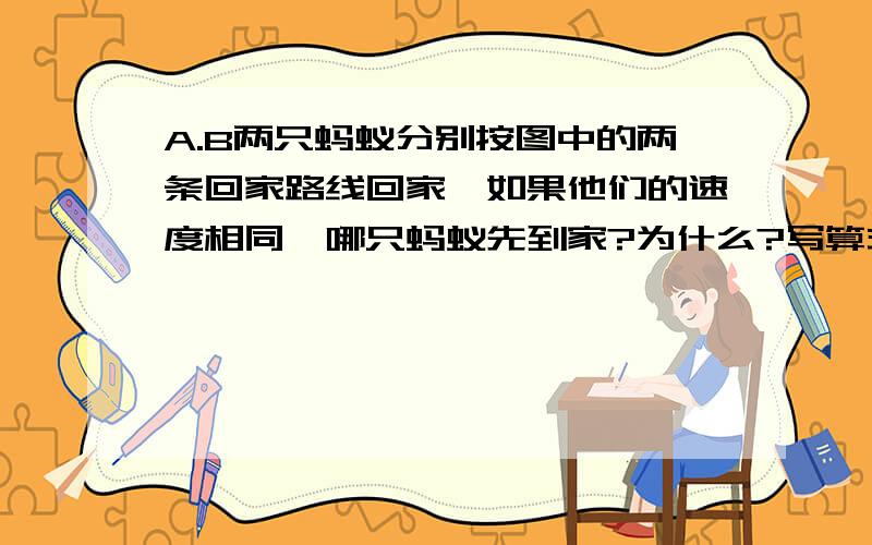 A.B两只蚂蚁分别按图中的两条回家路线回家,如果他们的速度相同,哪只蚂蚁先到家?为什么?写算式.