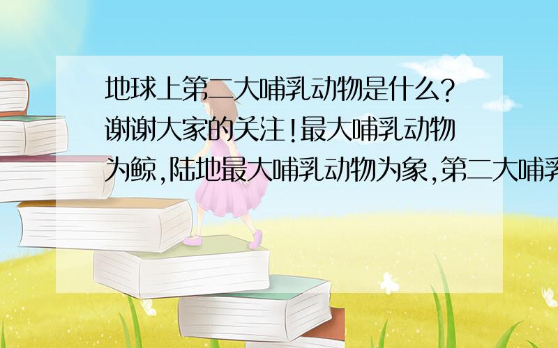 地球上第二大哺乳动物是什么?谢谢大家的关注!最大哺乳动物为鲸,陆地最大哺乳动物为象,第二大哺乳动物有一说为河马,不知道正确与否,希望大家多多支持.