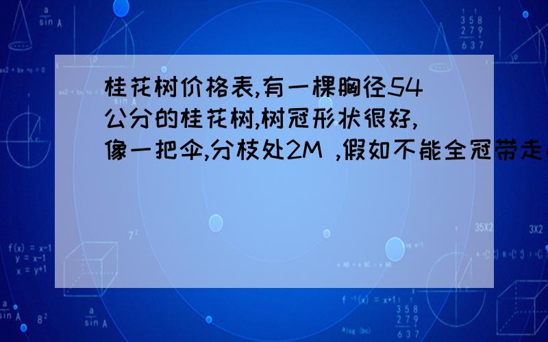 桂花树价格表,有一棵胸径54公分的桂花树,树冠形状很好,像一把伞,分枝处2M ,假如不能全冠带走能值多少 ,假如能带走全冠值多少钱