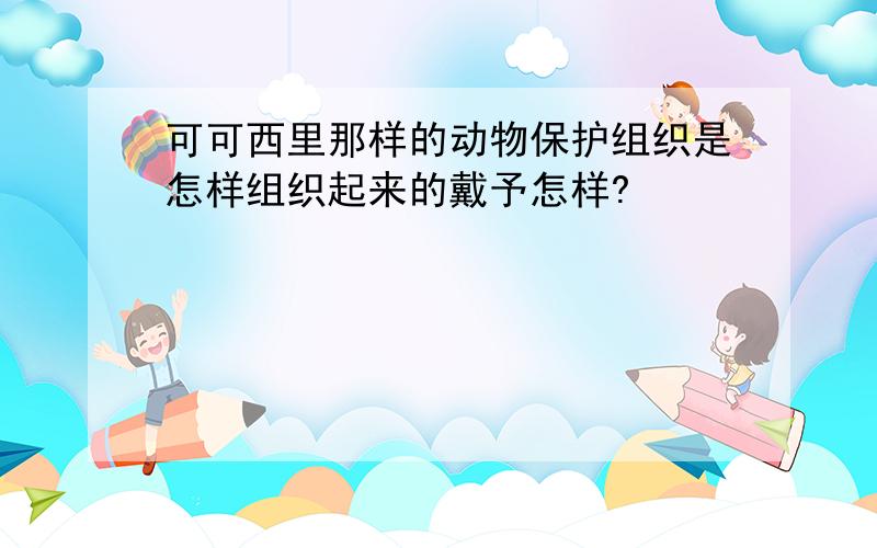 可可西里那样的动物保护组织是怎样组织起来的戴予怎样?