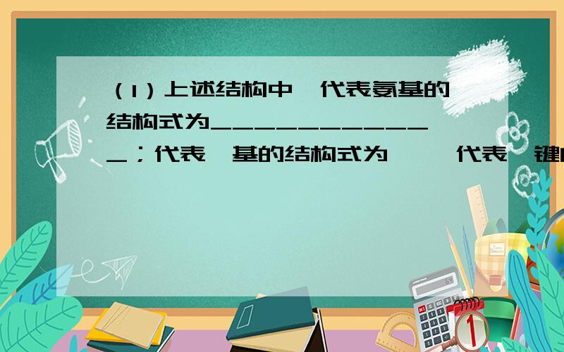 （1）上述结构中,代表氨基的结构式为___________；代表羧基的结构式为     代表肽键的结构式为_____________；其中________、_________为R基.（2）上述化合物是由___种氨基酸组成（3）)该化合物是由__