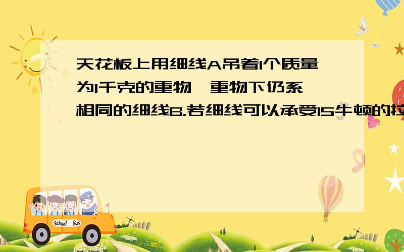 天花板上用细线A吊着1个质量为1千克的重物,重物下仍系一相同的细线B.若细线可以承受15牛顿的拉力,试分析当用手猛拉细线B时,哪个先断