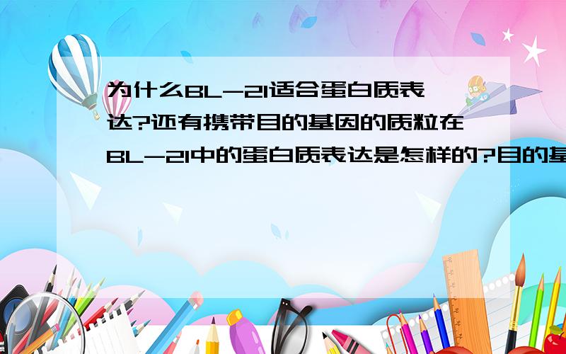 为什么BL-21适合蛋白质表达?还有携带目的基因的质粒在BL-21中的蛋白质表达是怎样的?目的基因为p50基因,载体为pET-21b(+)质粒