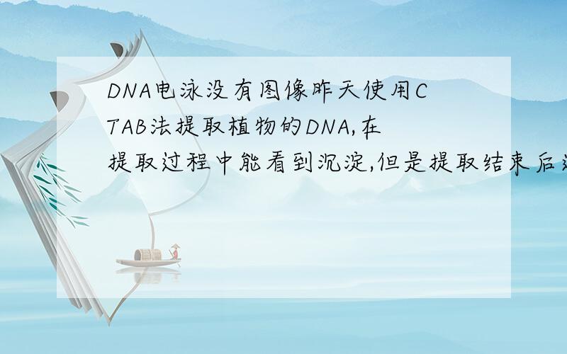 DNA电泳没有图像昨天使用CTAB法提取植物的DNA,在提取过程中能看到沉淀,但是提取结束后进行的电泳看不到任何东西,只能看到白色的胶板,这是为什么?点样孔处什么都没有，乙醇的问题倒没注