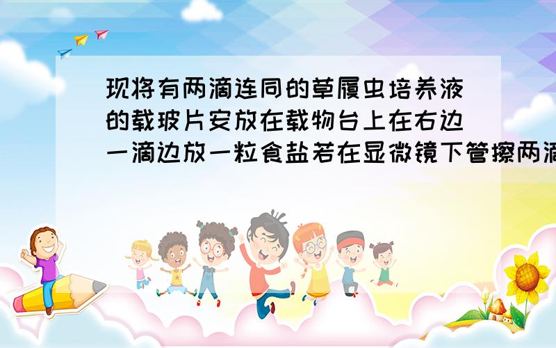 现将有两滴连同的草履虫培养液的载玻片安放在载物台上在右边一滴边放一粒食盐若在显微镜下管擦两滴培养液连