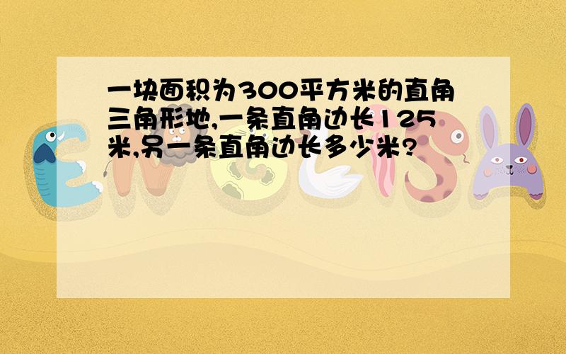 一块面积为300平方米的直角三角形地,一条直角边长125米,另一条直角边长多少米?