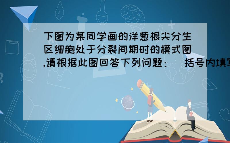 下图为某同学画的洋葱根尖分生区细胞处于分裂间期时的模式图,请根据此图回答下列问题：（括号内填写数字代号） （1）请指出图中三处明显的错误：①_____________________________;②_____________